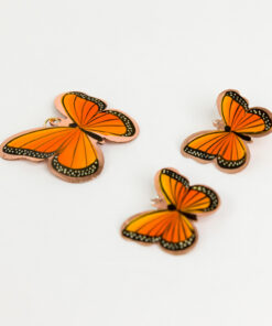 Conjunto Monarca